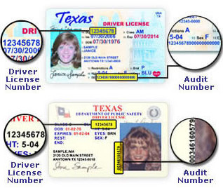 Texas Dmv State Issued Driver Record
